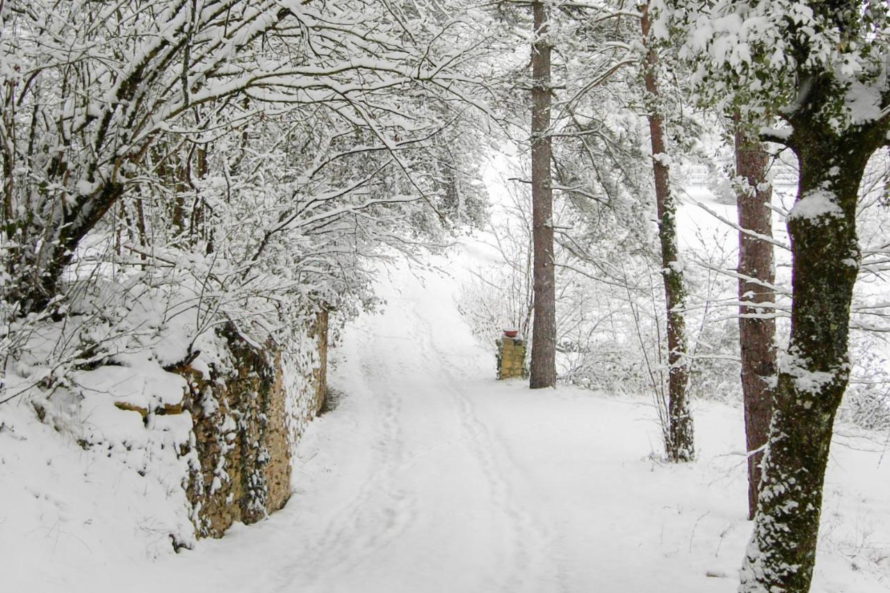 Au Pre De L'Arbre Villa Sarlat-la-Canéda Eksteriør bilde